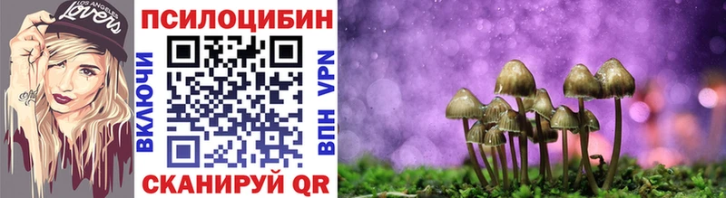 наркошоп  Киржач  Псилоцибиновые грибы ЛСД 